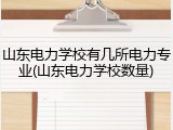 山东电力学校有几所电力专业(山东电力学校数量)
