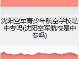 沈阳空军青少年航空学校是中专吗(沈阳空军航校是中专吗)