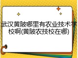 武汉黄陂哪里有农业技术学校啊(黄陂农技校在哪)