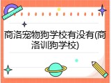 商洛宠物狗学校有没有(商洛训狗学校)
