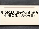 青岛化工职业学校有什么专业(青岛化工职校专业)