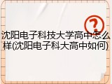 沈阳电子科技大学高中怎么样(沈阳电子科大高中如何)