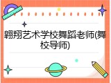 翱翔艺术学校舞蹈老师(舞校导师)