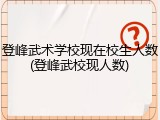登峰武术学校现在校生人数(登峰武校现人数)