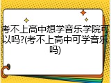 考不上高中想学音乐学院可以吗?(考不上高中可学音乐吗)