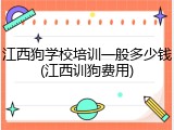 江西狗学校培训一般多少钱(江西训狗费用)