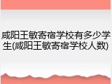 咸阳王敏寄宿学校有多少学生(咸阳王敏寄宿学校人数)
