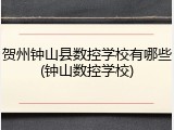 贺州钟山县数控学校有哪些(钟山数控学校)