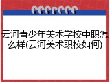 云河青少年美术学校中职怎么样(云河美术职校如何)