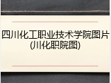 四川化工职业技术学院图片(川化职院图)