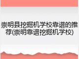 崇明县挖掘机学校靠谱的推荐(崇明靠谱挖掘机学校)