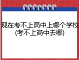 现在考不上高中上哪个学校(考不上高中去哪)