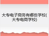 大专电子商务有哪些学校(大专电商学校)