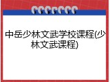 中岳少林文武学校课程(少林文武课程)