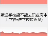叛逆学校能不能去职业高中上学(叛逆学校转职高)