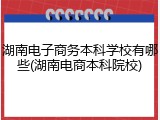 湖南电子商务本科学校有哪些(湖南电商本科院校)