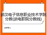 武汉电子信息职业技术学院分数(武电职院分数线)