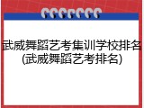 武威舞蹈艺考集训学校排名(武威舞蹈艺考排名)