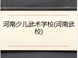河南少儿武术学校(河南武校)