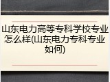 山东电力高等专科学校专业怎么样(山东电力专科专业如何)