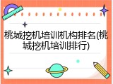 桃城挖机培训机构排名(桃城挖机培训排行)