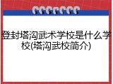 登封塔沟武术学校是什么学校(塔沟武校简介)