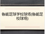 鲁能足球学校球场(鲁能足校球场)