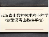 武汉青山数控技术专业的学校(武汉青山数控学校)
