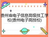 贵州省电子信息高级技工学校(贵州电子高技校)