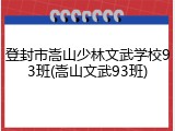 登封市嵩山少林文武学校93班(嵩山文武93班)