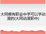 大同哪有职业中学可以学动漫的(大同动漫职中)