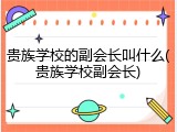 贵族学校的副会长叫什么(贵族学校副会长)