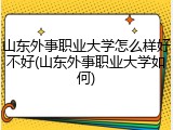 山东外事职业大学怎么样好不好(山东外事职业大学如何)