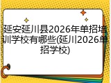 延安延川县2026年单招培训学校有哪些(延川2026单招学校)