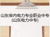 山东省内电力专业职业中专(山东电力中专)