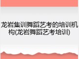 龙岩集训舞蹈艺考的培训机构(龙岩舞蹈艺考培训)