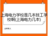 上海电力学校是几本技工学校啊(上海电力几本)