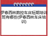 伊春西林数控车床短期培训班有哪些(伊春西林车床培训)