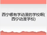 西宁哪有学动漫的学校啊(西宁动漫学校)