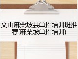 文山麻栗坡县单招培训班推荐(麻栗坡单招培训)