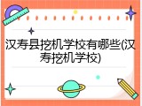 汉寿县挖机学校有哪些(汉寿挖机学校)