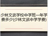 少林文武学校中学班一年学费多少(少林文武中学学费)
