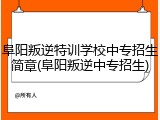 阜阳叛逆特训学校中专招生简章(阜阳叛逆中专招生)