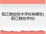 阳江数控技术学校有哪些(阳江数控学校)