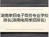 湖南单招电子商务专业学校排名(湖南电商单招排名)