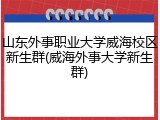 山东外事职业大学威海校区新生群(威海外事大学新生群)