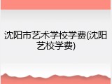 沈阳市艺术学校学费(沈阳艺校学费)