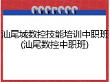 汕尾城数控技能培训中职班(汕尾数控中职班)