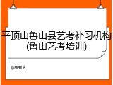 平顶山鲁山县艺考补习机构(鲁山艺考培训)