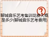 聊城音乐艺考集训花费大概是多少(聊城音乐艺考费用)